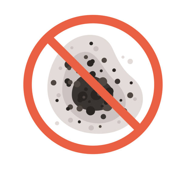 Best Forensic Mold Investigation  in Franklin Park, FL