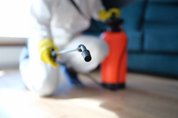 Best Mold Removal for HVAC Installations  in Franklin Park, FL