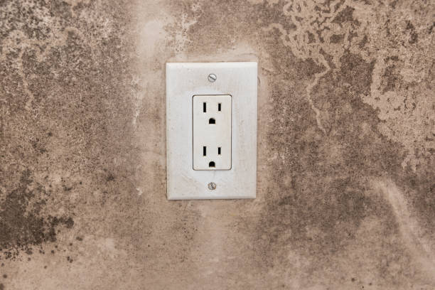 Best Mold Documentation for Insurance Claims  in Franklin Park, FL